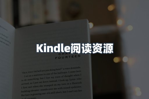 外文电子书系列